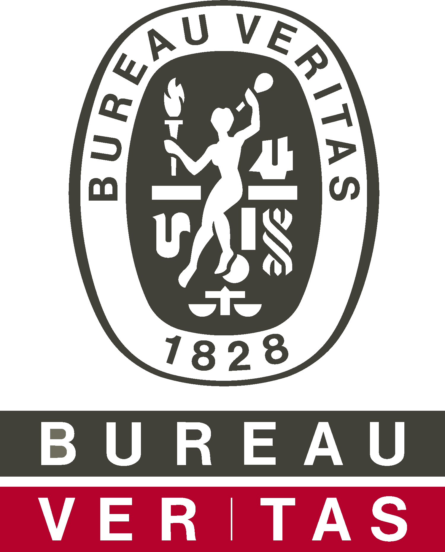 Bureau Veritas Group Logo Vector Logo